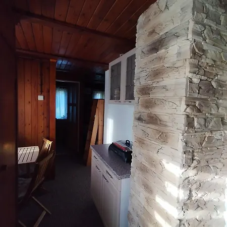 Ještěrka *
