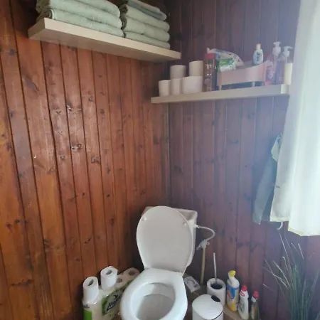 Ještěrka